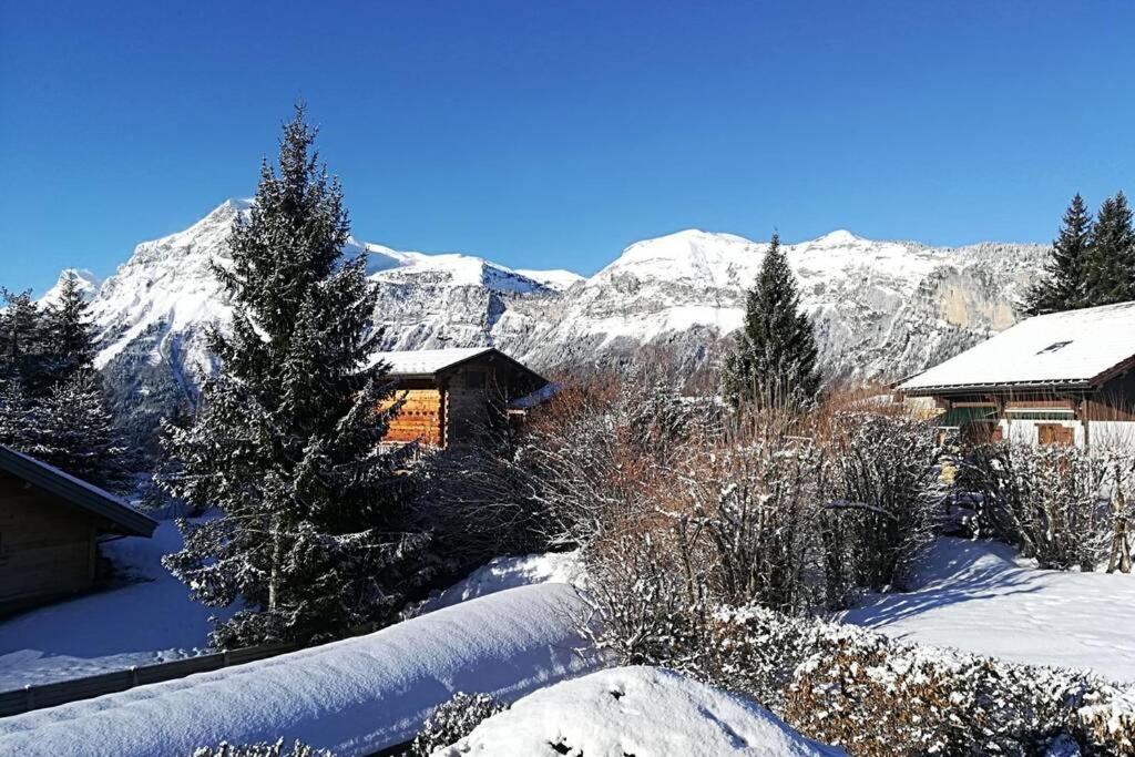 Eden Roc Grand Massif Daire Les Carroz d'Araches Dış mekan fotoğraf