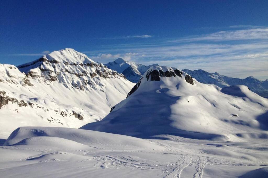 Eden Roc Grand Massif Daire Les Carroz d'Araches Dış mekan fotoğraf